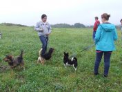Szkolenie dla wolontariuszy w Tarnowskim Azylu dla Psów i Kotów